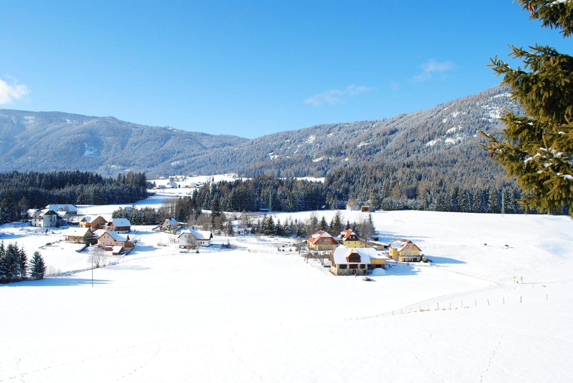 Hotel Gasthof Seeblick Zeutschach المظهر الخارجي الصورة